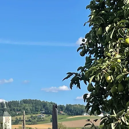 Lägenhet Schoene In Bahnhofsnaehe Fuer Urlaub, Studium Oder Arbeit
