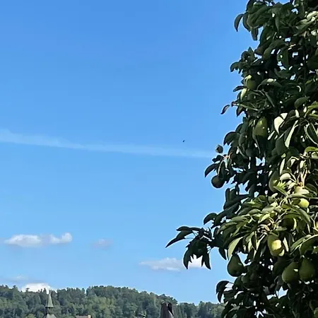 Schoene In Bahnhofsnaehe Fuer Urlaub, Studium Oder Arbeit
